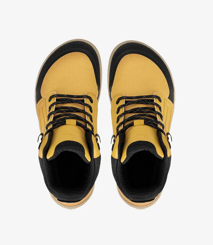 ArcticEdge ArcticEdge