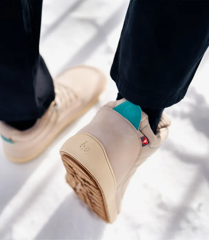 ArcticEdge ArcticEdge