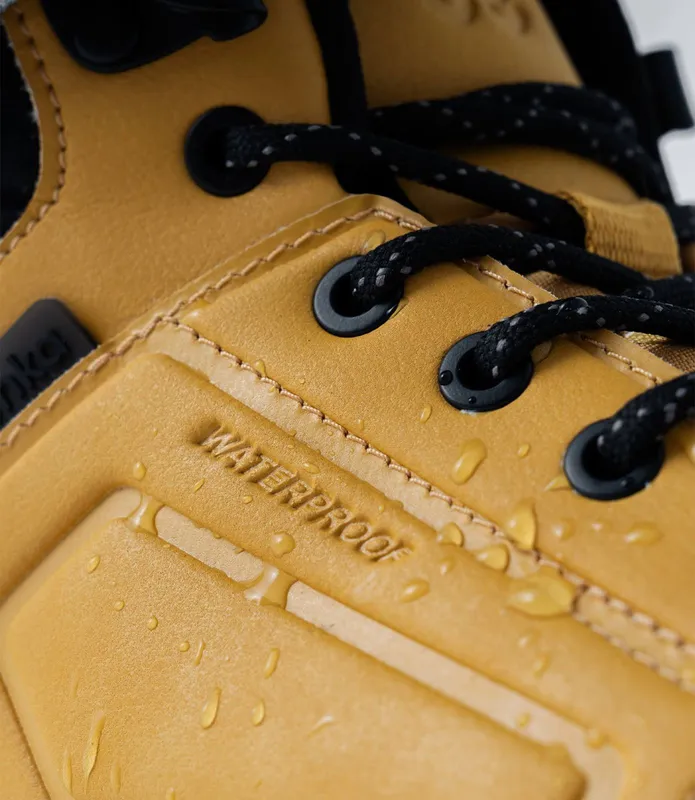 ArcticEdge ArcticEdge