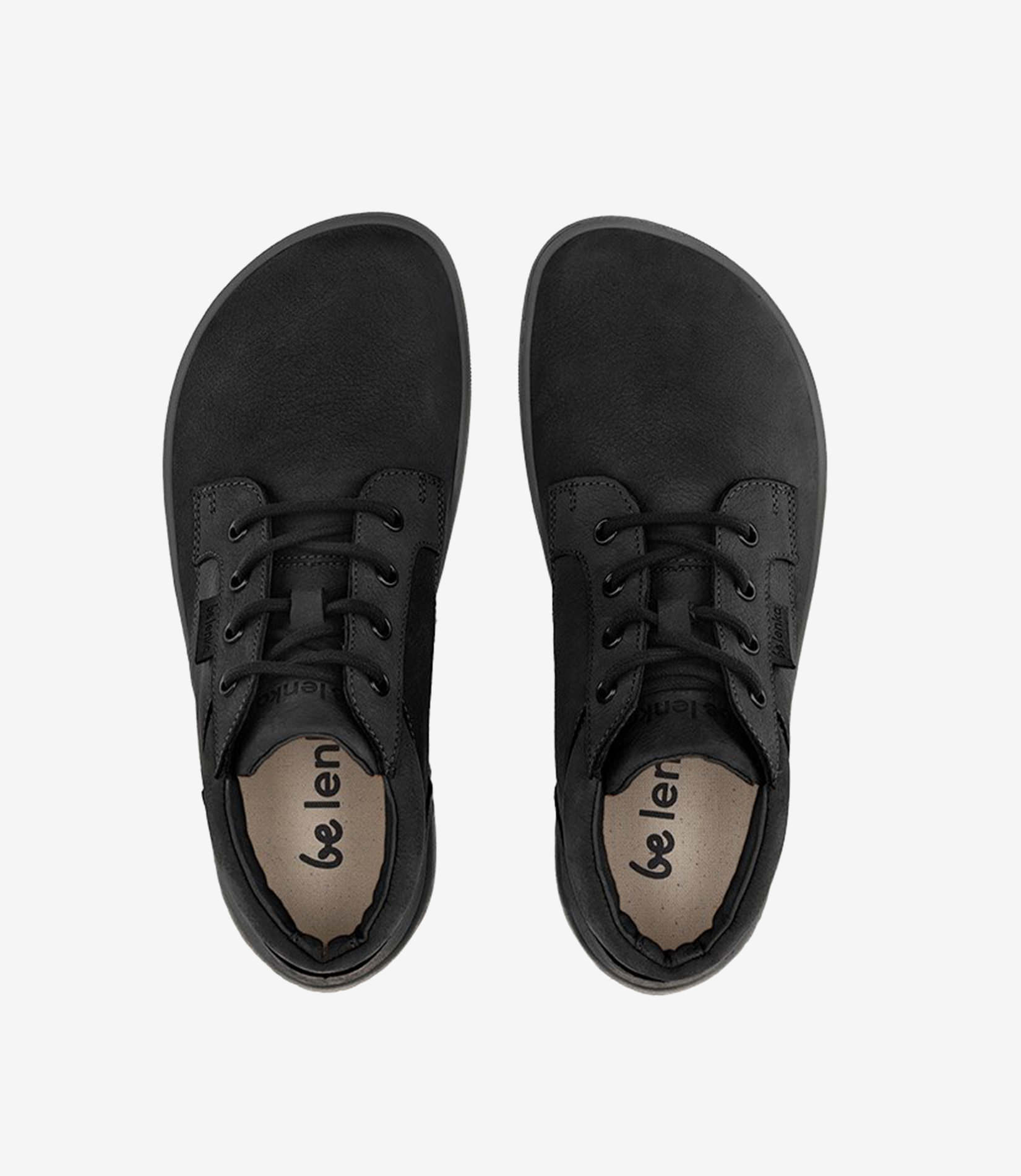 Be Lenka Synergy